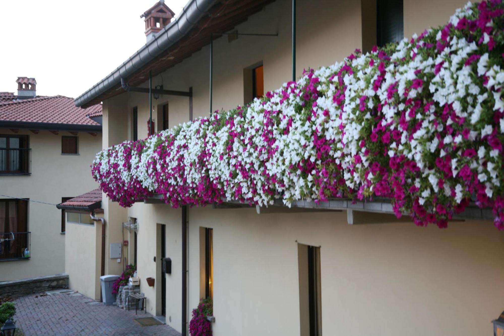 Locanda Dell'Oca Bianca Como Exterior foto